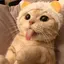 エルモサAOIのプロフィール画像