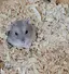 たえのプロフィール画像