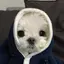 ゆかりのプロフィール画像
