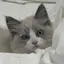 mmeのプロフィール画像