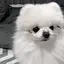 さくのプロフィール画像