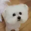 mikumaのプロフィール画像