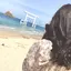 さきのプロフィール画像