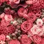 rosegarden820のプロフィール画像