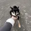 もえのプロフィール画像