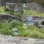 たるとタタン🧩のプロフィール画像