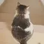 中村のプロフィール画像
