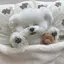 ^._.^のプロフィール画像