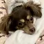 y¨̮♡のプロフィール画像