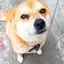 亜里沙のプロフィール画像