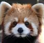 もふもふのプロフィール画像