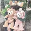 あきなのプロフィール画像