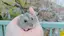 rieのプロフィール画像