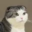 ゆきみのプロフィール画像