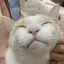 ちひろのプロフィール画像