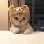 あやまるのプロフィール画像