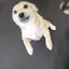 ヨンのプロフィール画像