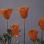 ゆなのプロフィール画像