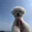 とつのプロフィール画像