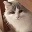 AIAIのプロフィール画像
