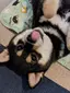まっきんのプロフィール画像