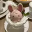 あんずのプロフィール画像