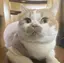 Mのプロフィール画像