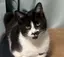 みのりのプロフィール画像