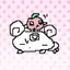 lucky manのプロフィール画像