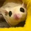 Rikaのプロフィール画像
