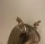 侑希奈のプロフィール画像
