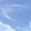 ..のプロフィール画像