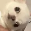 みうのプロフィール画像