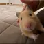 みりぽぽのプロフィール画像