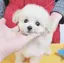 えりのプロフィール画像