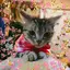 vioraのプロフィール画像