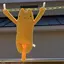 yukiのプロフィール画像