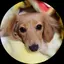 びーちままのプロフィール画像