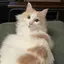 mのプロフィール画像