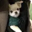 なのプロフィール画像