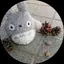 たねまるのプロフィール画像