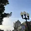 ネロのプロフィール画像