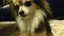 文旦のプロフィール画像