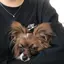 mのプロフィール画像