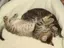 かずのプロフィール画像