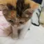 あやののプロフィール画像