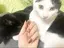 まみたすのプロフィール画像