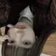 ユのプロフィール画像
