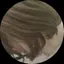 AyAのプロフィール画像
