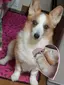 あきこのプロフィール画像